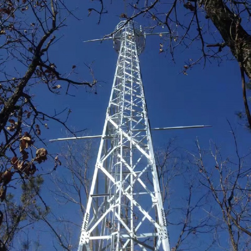 秦嶺廣貨街監(jiān)控塔