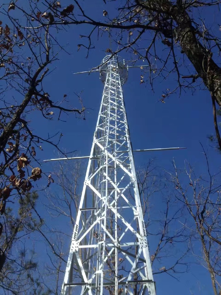 秦嶺廣貨街監(jiān)控塔